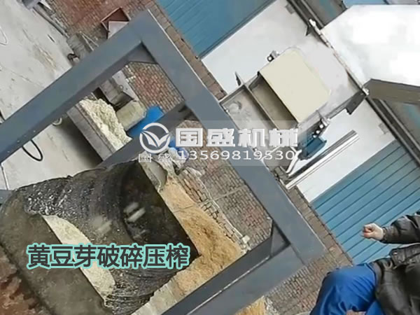 榴莲APP直播下载安装窗口黄豆芽固液分离机