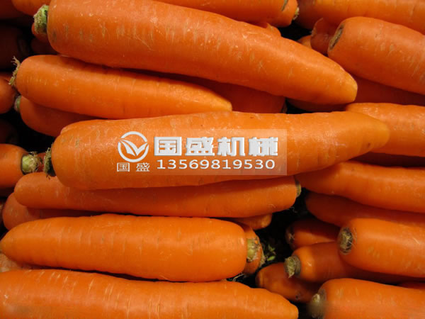 榴莲APP直播下载安装窗口胡萝卜脱水挤压机 榴莲APP直播下载安装窗口胡萝卜脱水挤压机