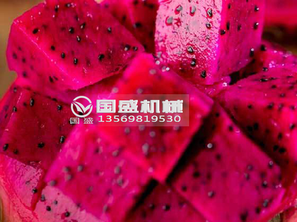榴莲APP直播下载安装窗口火龙果挤压脱水设备